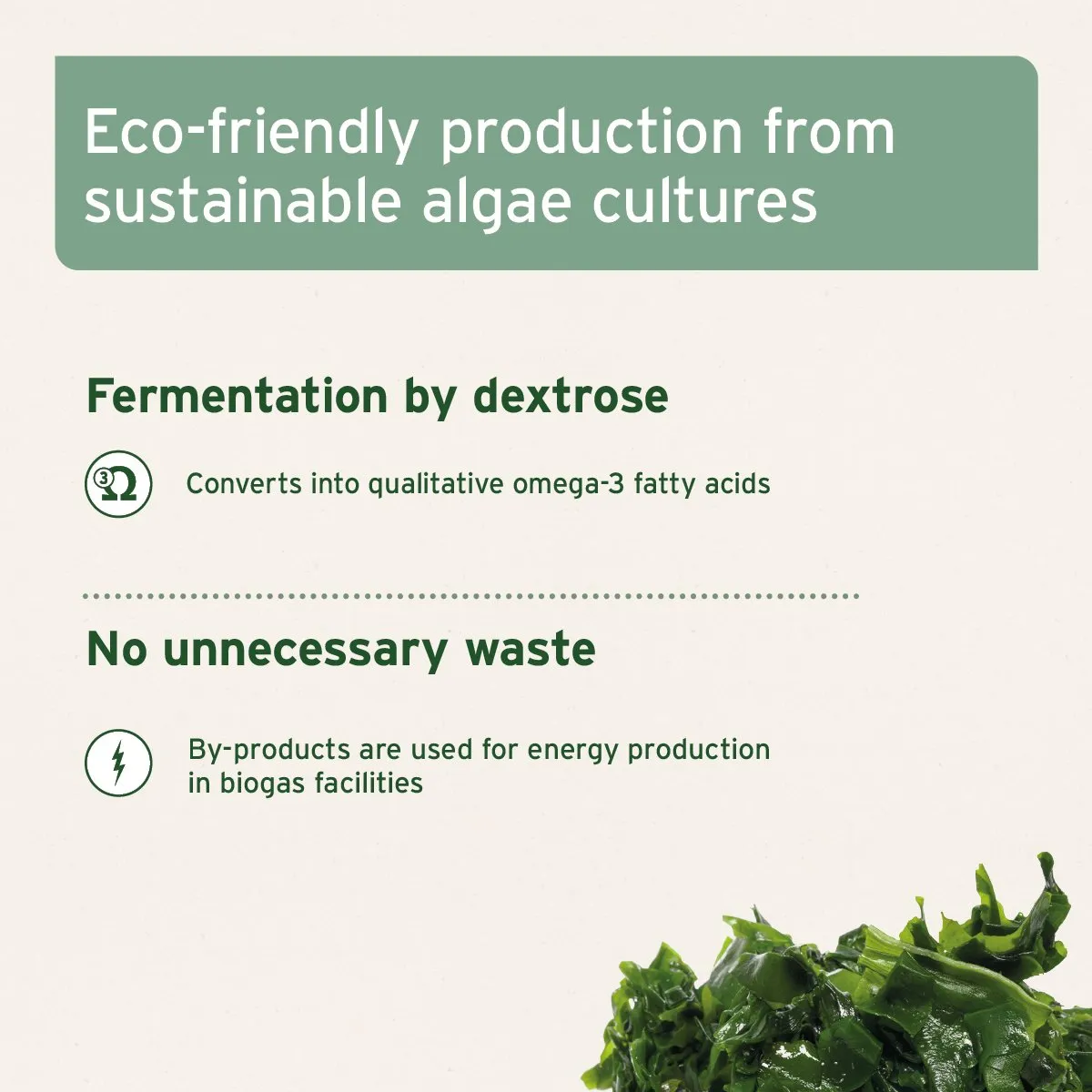 Algae Oil