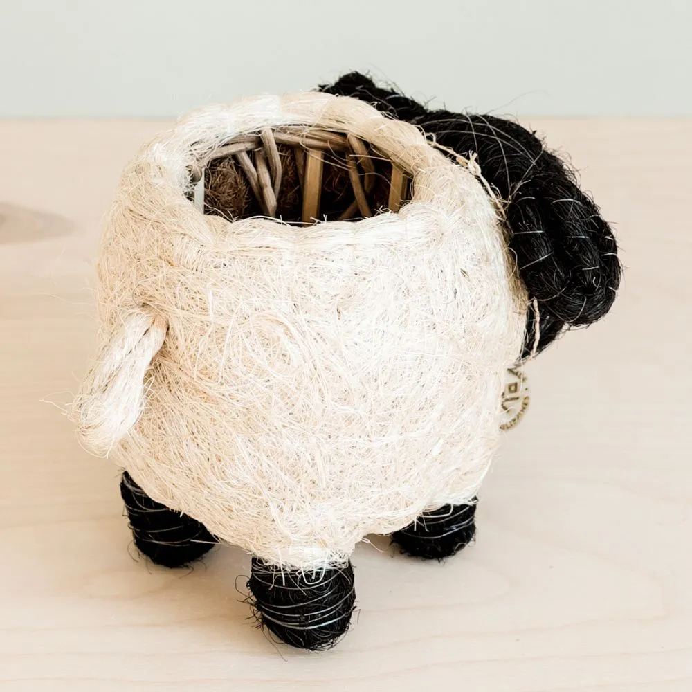 Coconut Coir Animal Planter - Baby Sheep