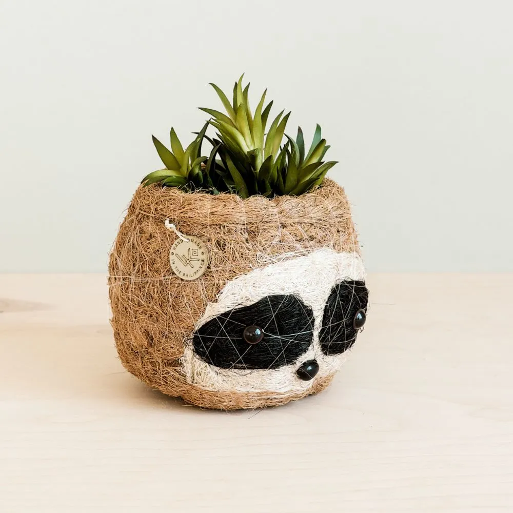 Coconut Coir Animal Planter - Sloth