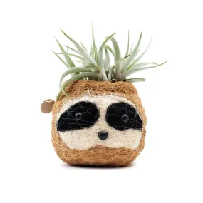 Coconut Coir Animal Planter - Sloth