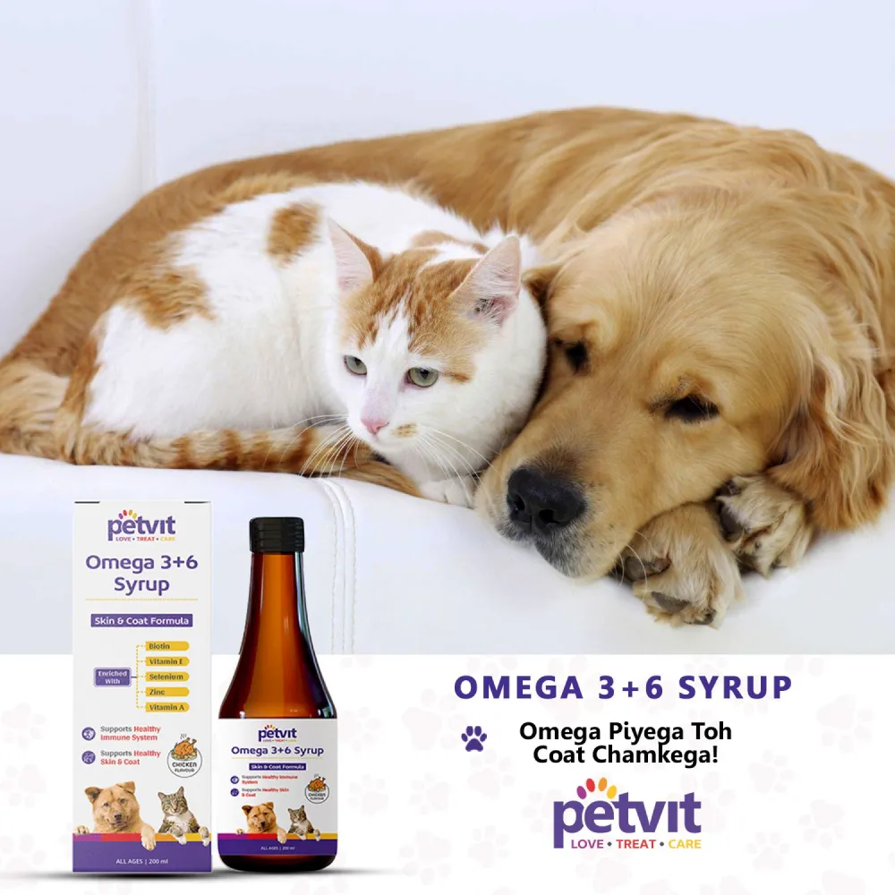 Petvit Omega 3   6 Syrup for Dogs and Cats